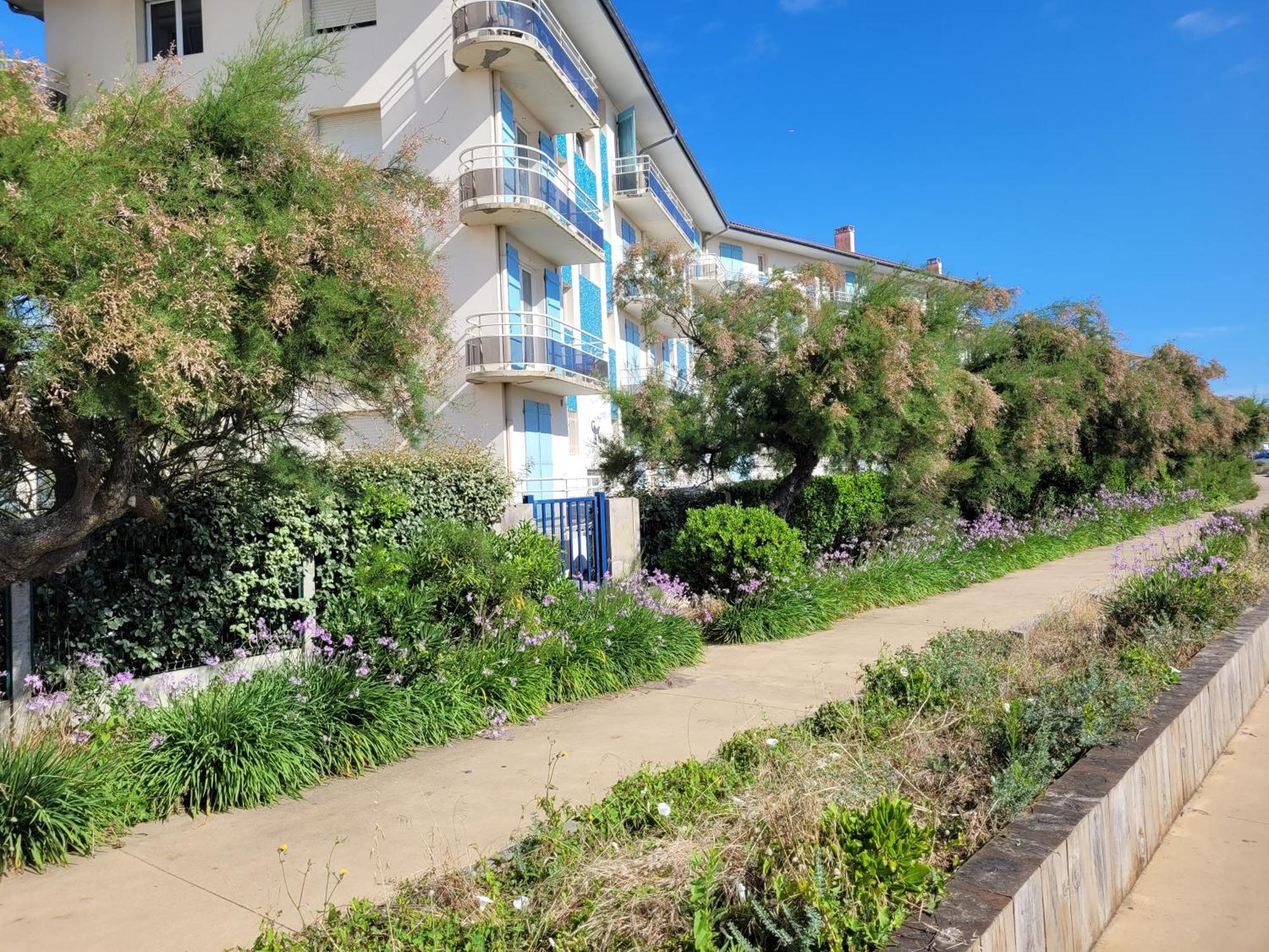 Sable - Renove Pour 4 Personnes * Soorts-Hossegor